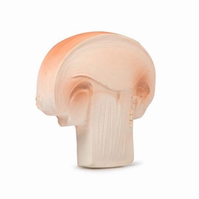 Oli & Carol Teether Mushroom Manolo
