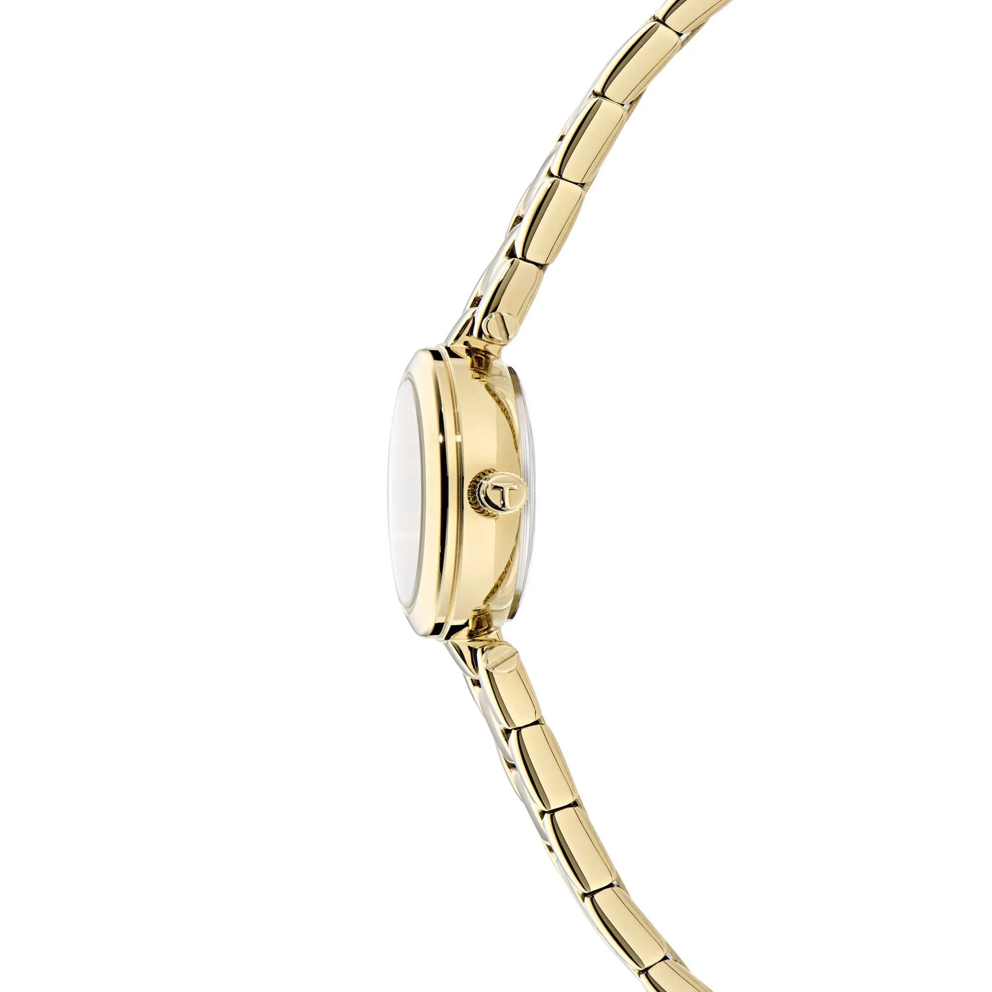 Montre Ted Baker Ladies Iconic en acier doré BKPJLF401