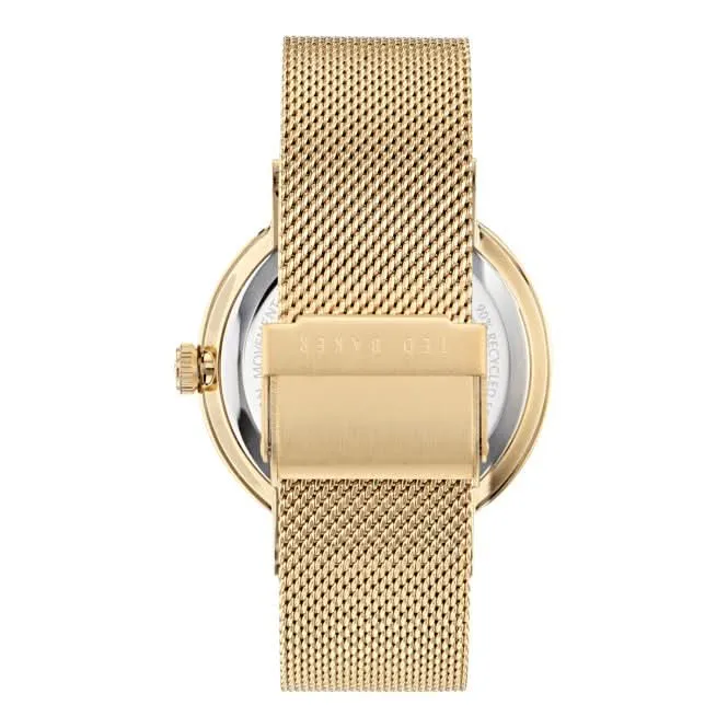 Montre pour homme Ted Baker Phylipa intemporelle en ton or BKPPGS404
